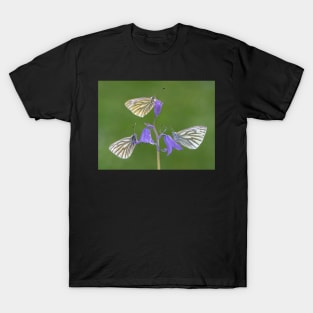 Three Green-veined White Butterflies on a Bluebell T-Shirt